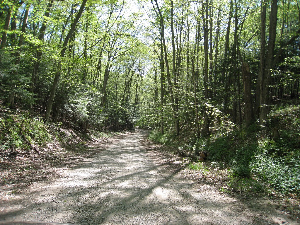 Michigan TC 2010-07 0570.jpg - The Michigan West Coast Tour of July 2010. From Luddington State Park to Traverse City for the Cherry Festival!